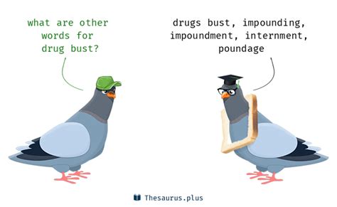 bust synonyms|drug bust synonym.